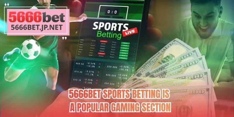5666BET Sports betting is a popular gaming section
