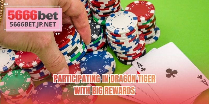 Participating in dragon tiger with big rewards