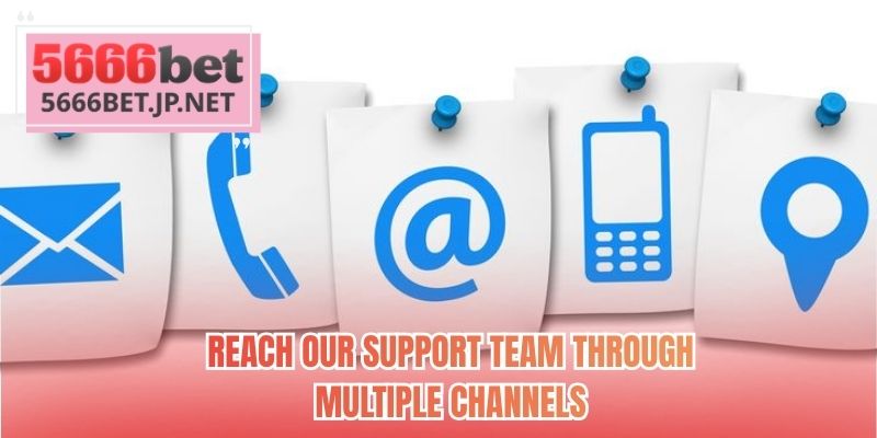 Reach our support team through multiple channels