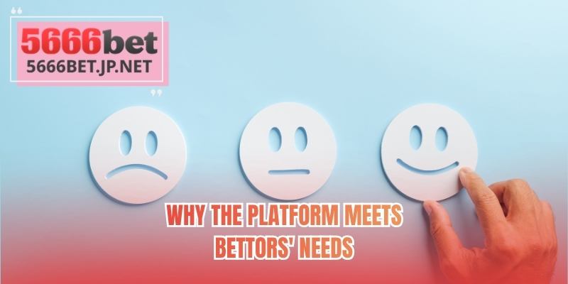 Why the platform meets bettors' needs